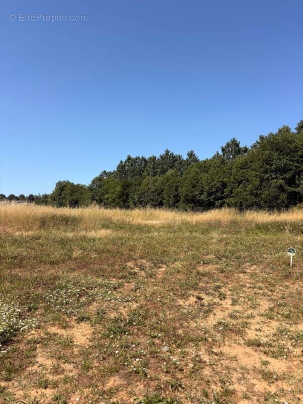 Terrain à VAYRES