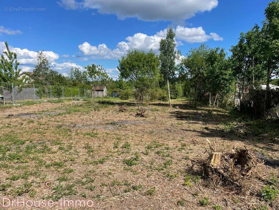 Terrain à SAINTE-GENEVIEVE-DES-BOIS