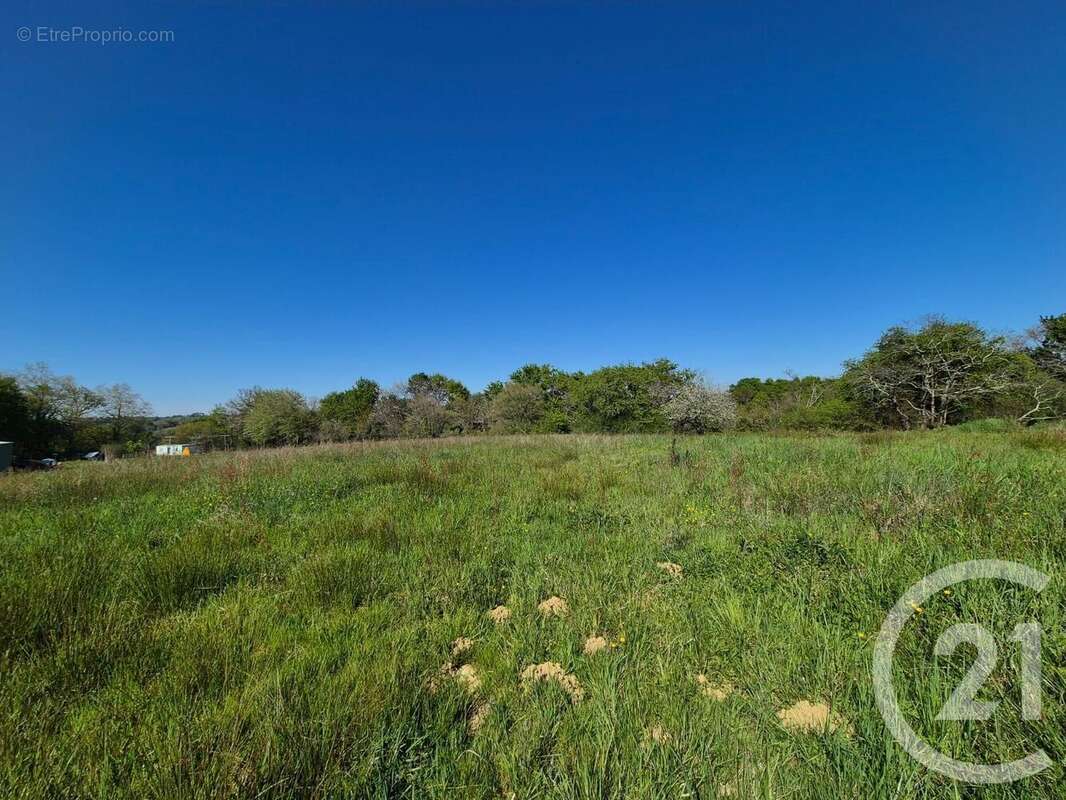 Terrain à SAINT-MEDARD