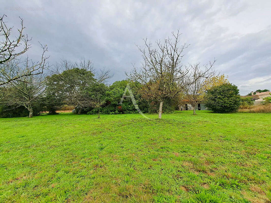 Maison à VILLENEUVE-DE-MARSAN