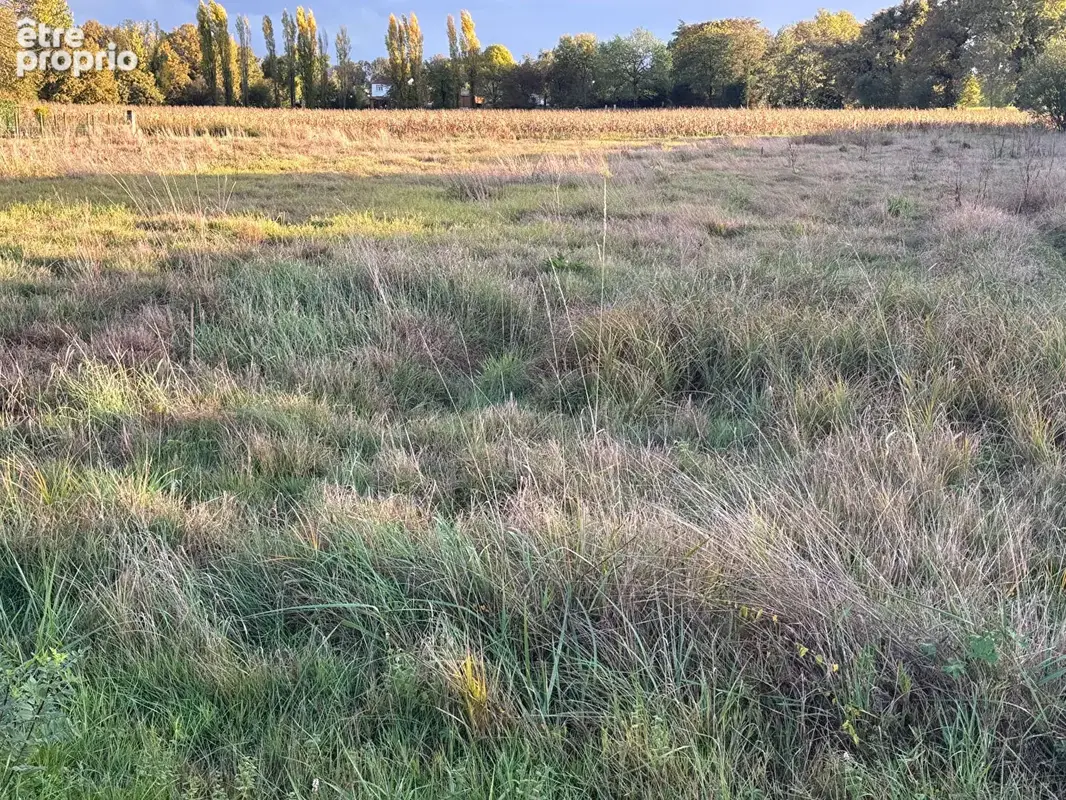 terrain constructible proche des commerces de Montpon-Ménestérol - photo 2