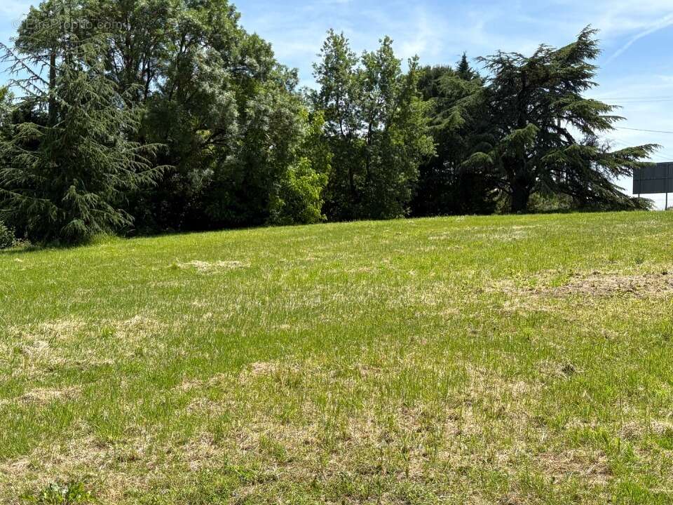 Terrain à ROUFFIAC-TOLOSAN