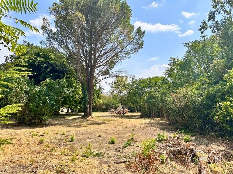 Terrain constructible de 1 700m² viabilisé avec vue sur les Pyrénées - photo 3