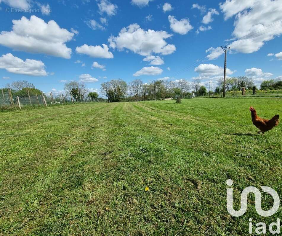 Photo 3 - Maison à CHAMBRETAUD