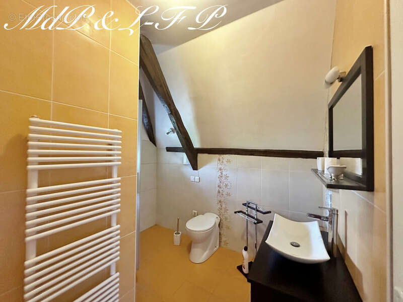 Maison à SAINT-LEON-D&#039;ISSIGEAC