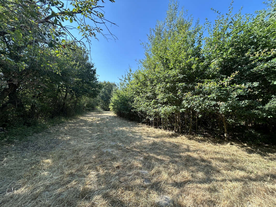 Propriété 3,7 ha : maison ancienne rénovée, mare, friche, bois, prairie - photo 19