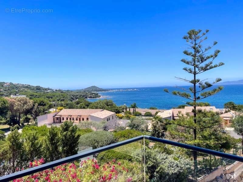 Appartement à PIETROSELLA