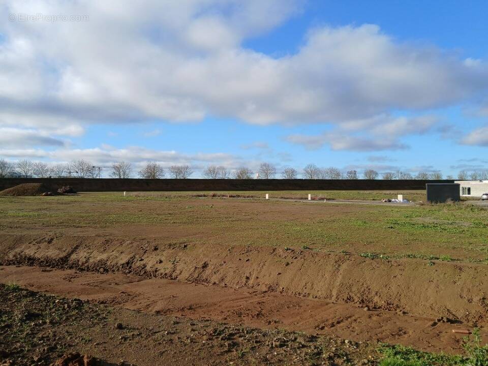 Terrain à BENOUVILLE