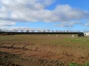 Terrain à BENOUVILLE