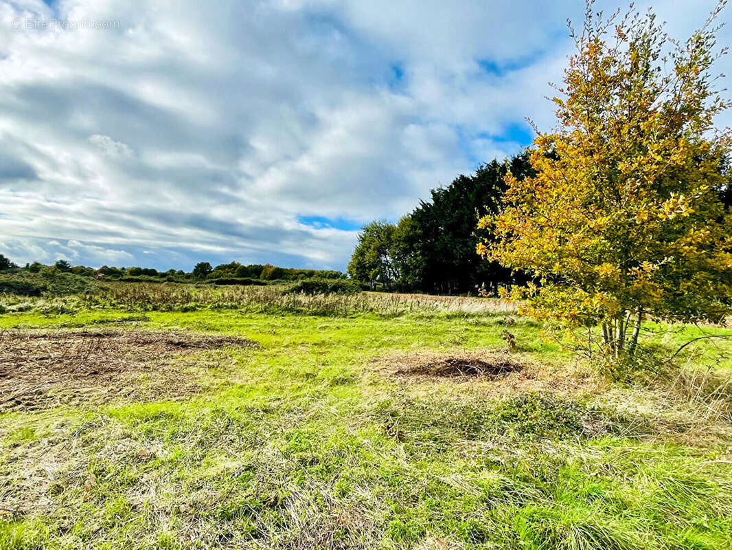 Maison à LAVAUSSEAU