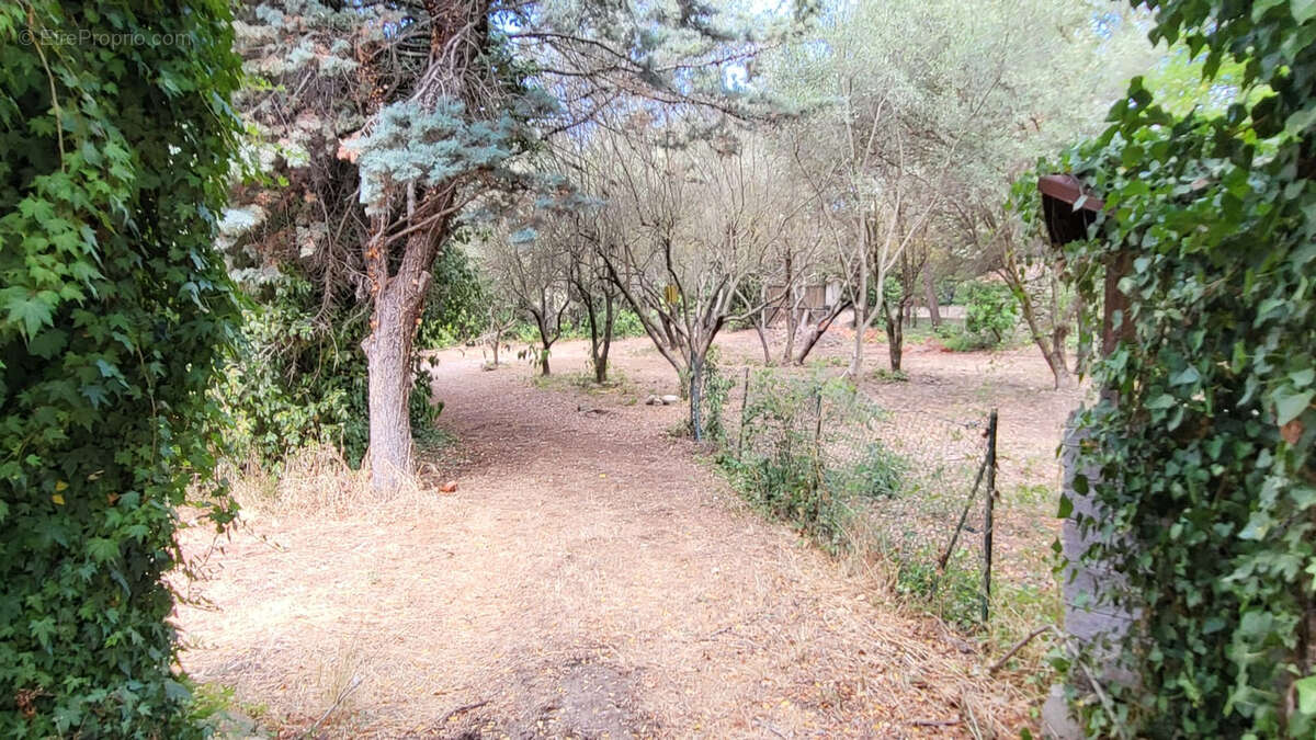 LE CASTELET ? Authentique Bastide du XVIIIe Siècle au Coeur des Vignes et des Oliviers terrain 6000 m² - photo 9