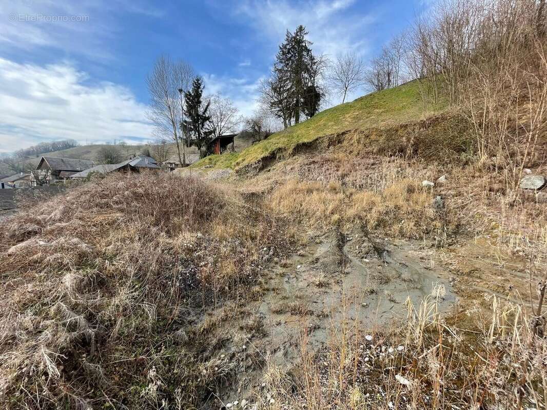 Terrain à COISE-SAINT-JEAN-PIED-GAUTHIER