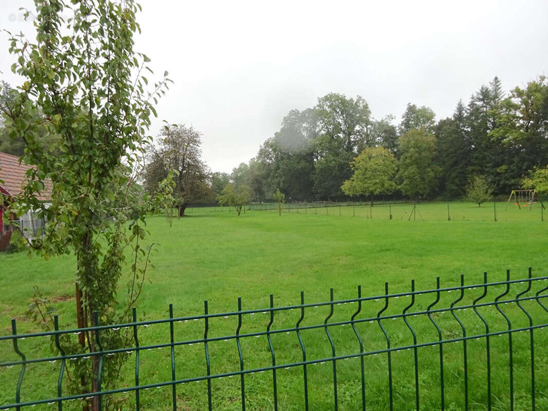 Terrain à STEINBRUNN-LE-HAUT