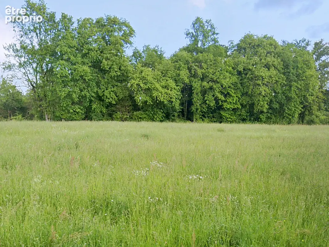 Marquay - terrain plat de 1 900 m2 - photo 2