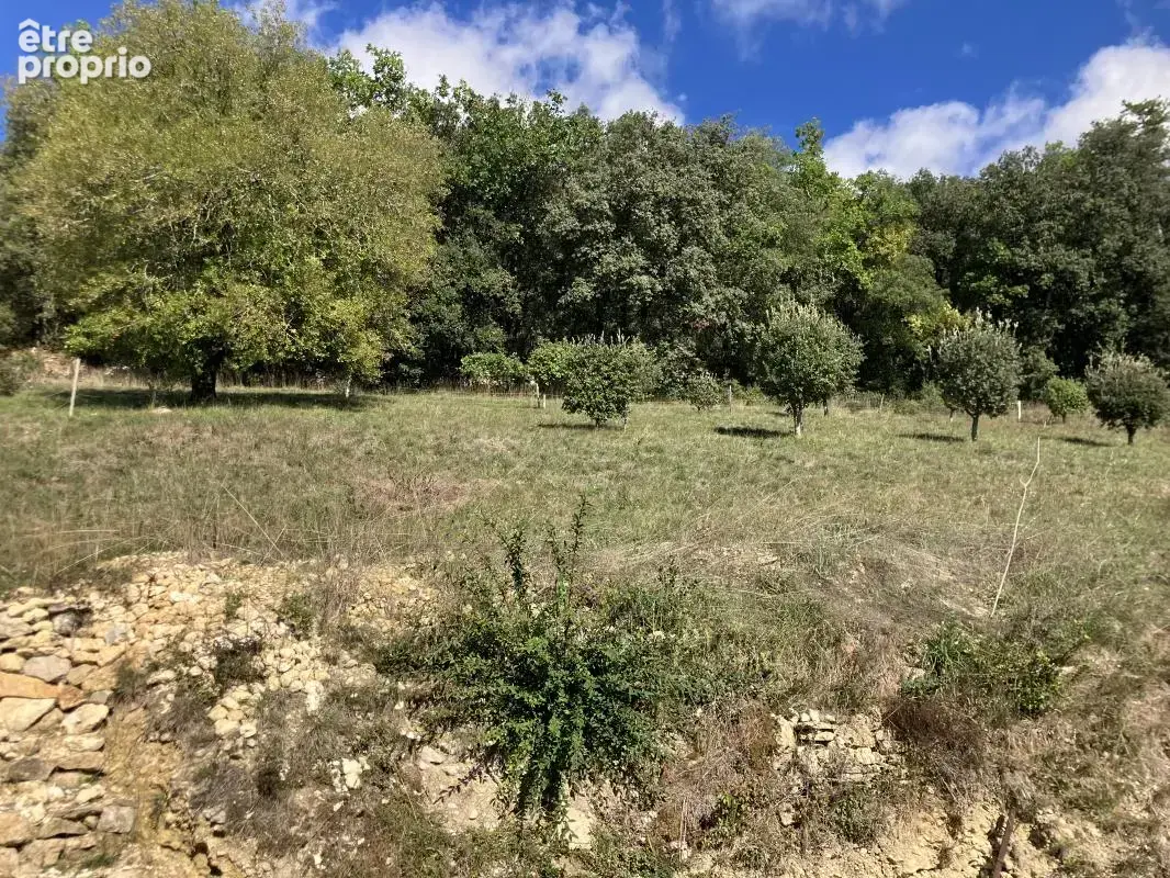 Terrain constructible de 7723m2 avec vue sur la Dordogne à Castels-et-Bézenac - photo 7
