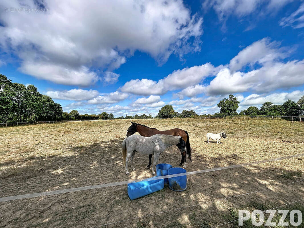 MARIGNY - Propriété de charme de 90 m² habitable dans un écrin de verdure de plus de 9 000 m² - photo 13