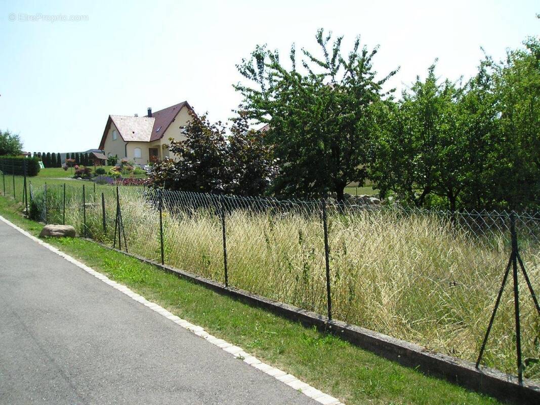 Terrain à MASEVAUX