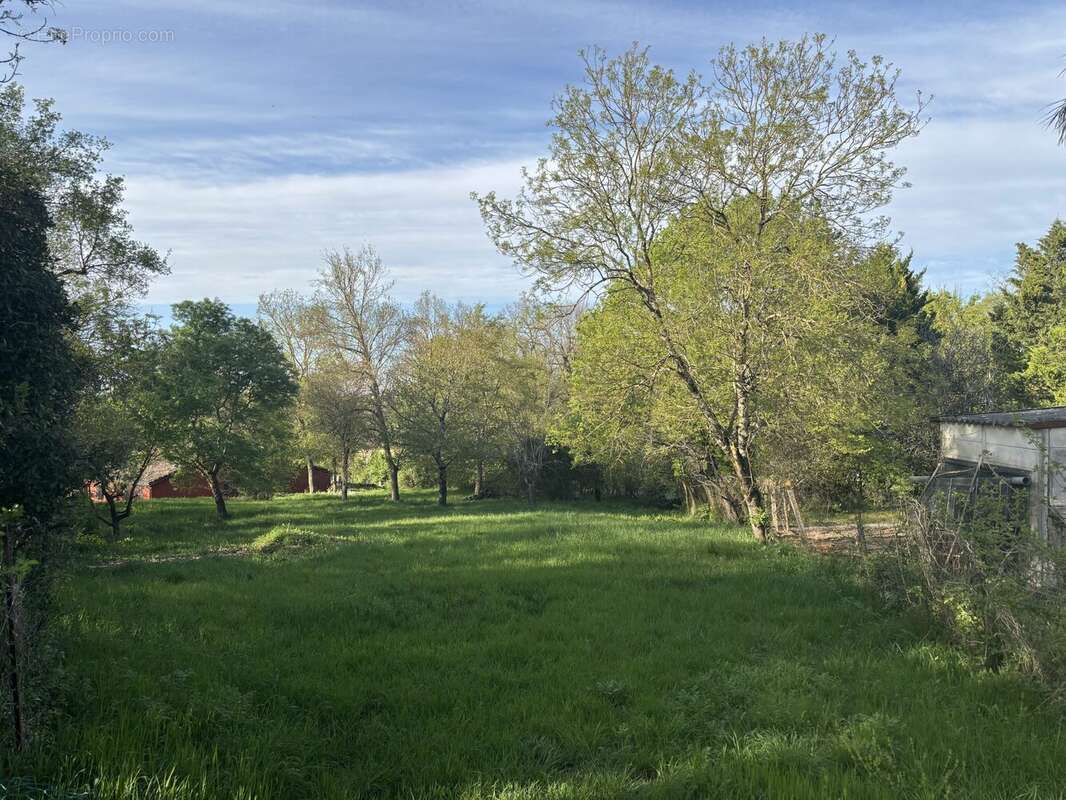 Terrain à L'ISLE-JOURDAIN