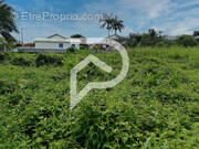 Terrain à LE TAMPON