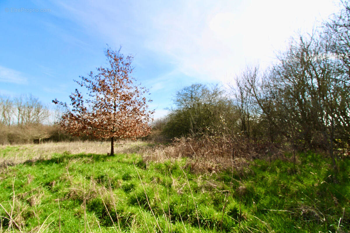 Terrain à SAINT-FRANCOIS-LACROIX