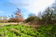 Terrain à SAINT-FRANCOIS-LACROIX