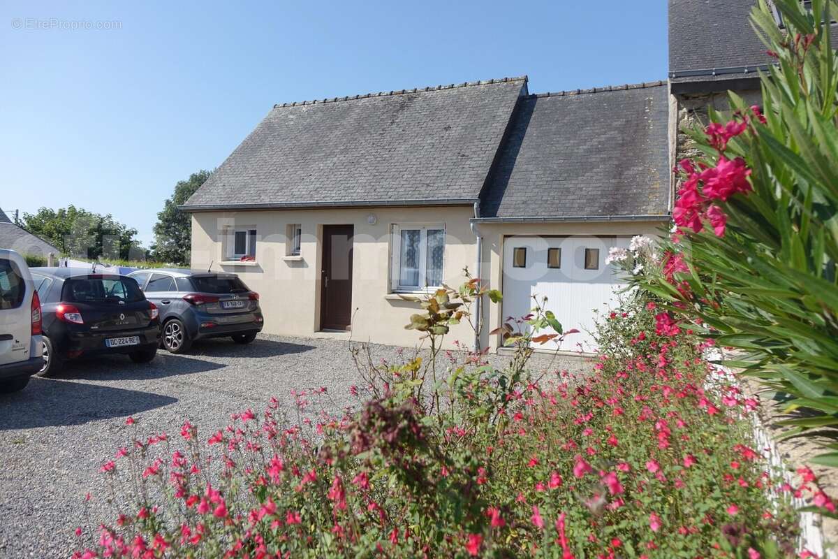 DSC05346 - Maison à SARZEAU