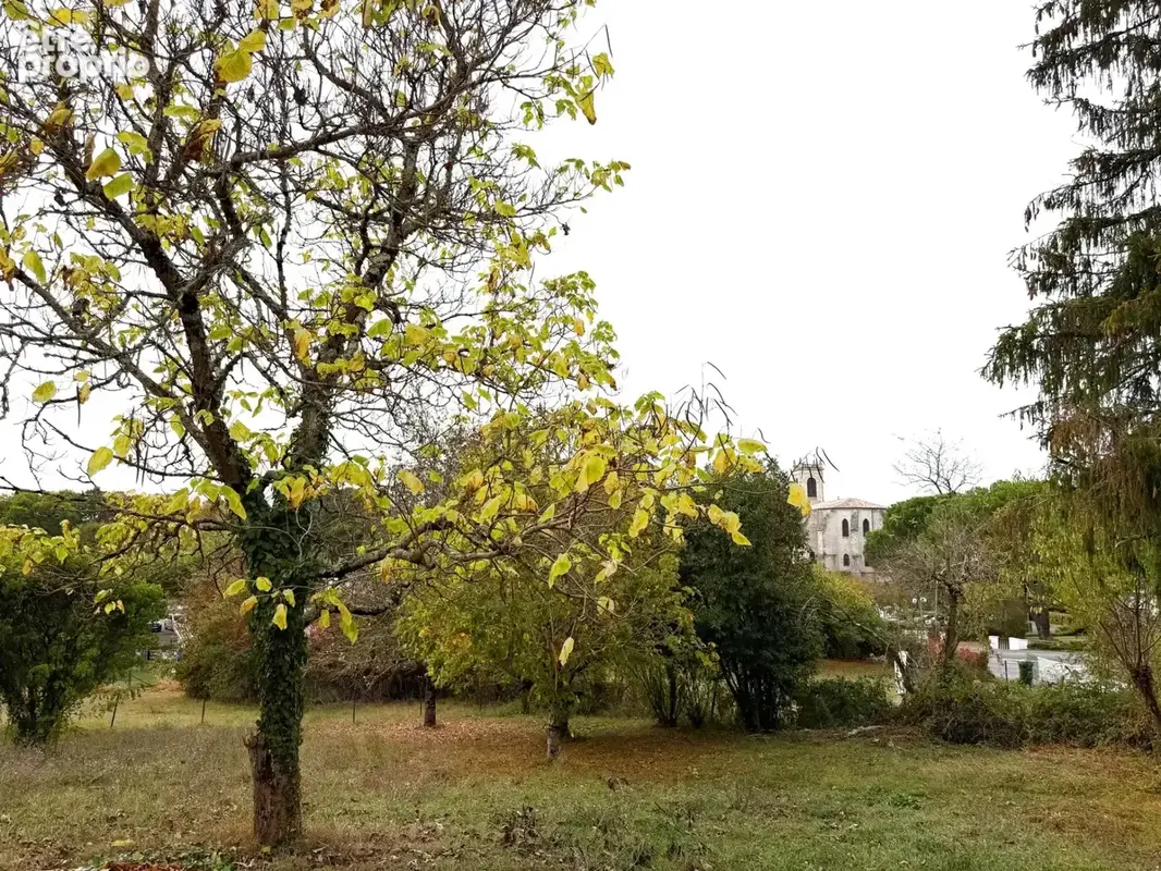 MAISON de plain-pied sur un parc arboré de 2800m2. - photo 9