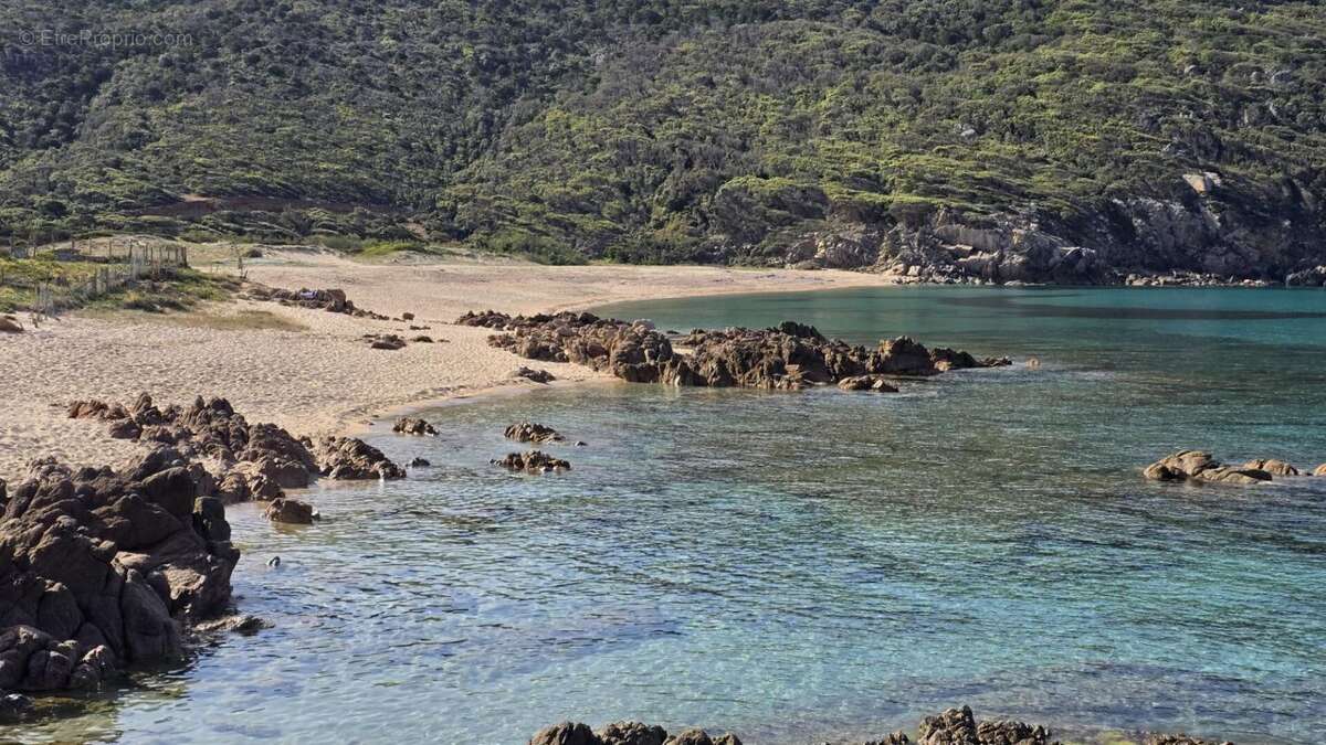 Sartène, sur la plage de Tizzano, maison de 74 m2 avec vue imprenable sur la mer - photo 11