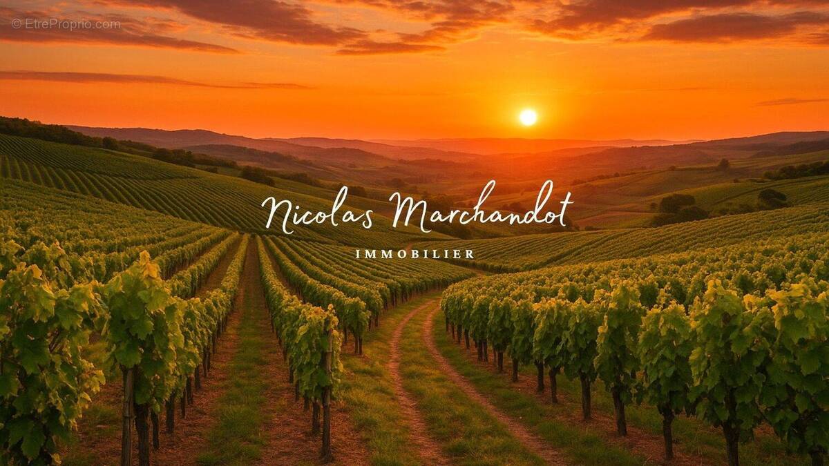 Photo 1 - Commerce à LANTIGNIE