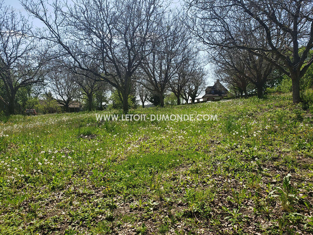Terrain à BASSILLAC