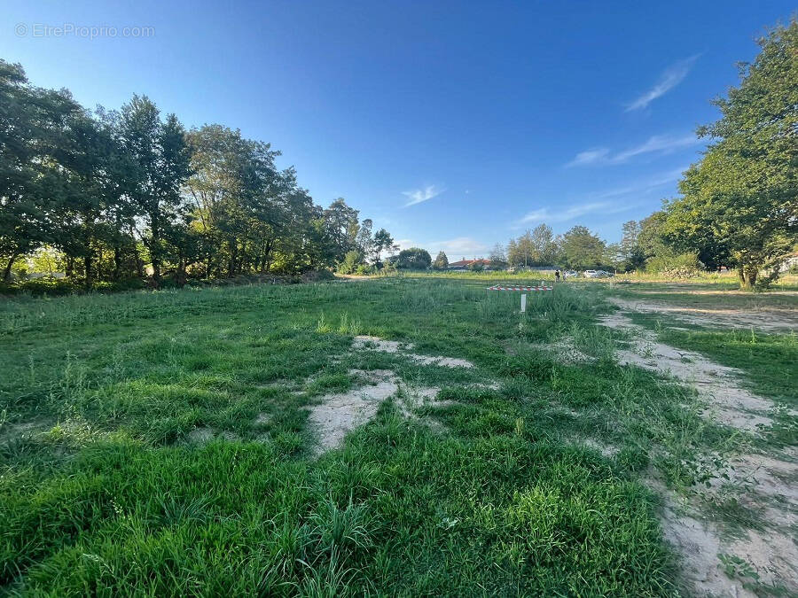 Terrain à LEZOUX