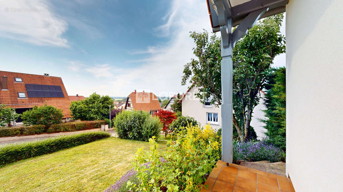 Maison à MOMMENHEIM