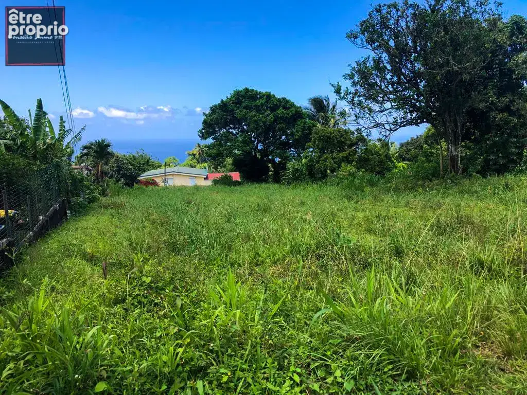 Terrain à bâtir de 1 316 m2 à vendre à Basse-Pointe - photo 2