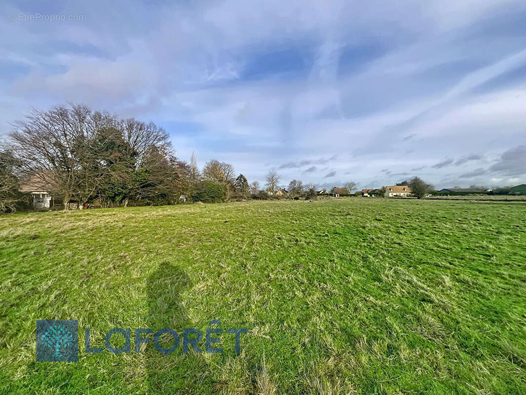 Terrain à SACQUENVILLE