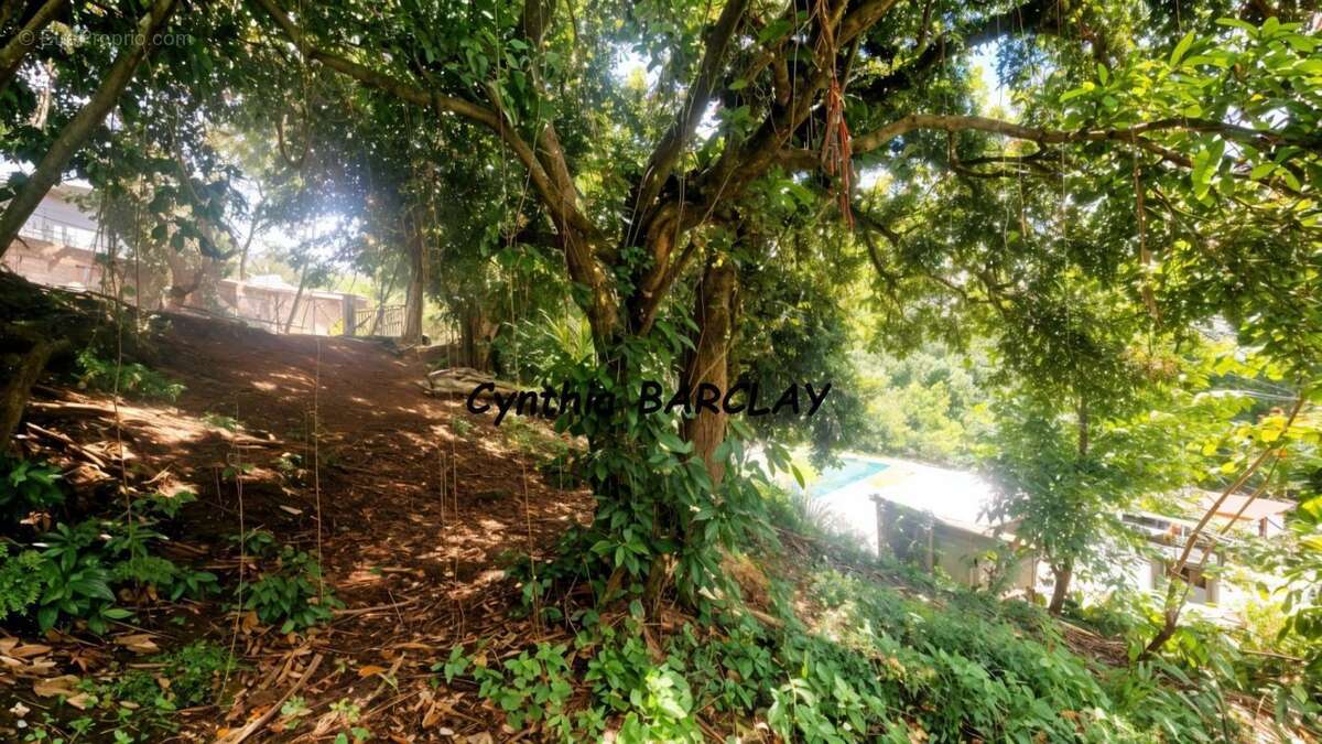 Terrain à FORT-DE-FRANCE