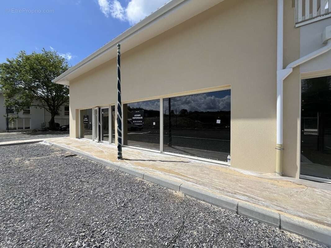 Commerce 250 m² à Saint-Vincent-De-Tyrosse  - photo 2