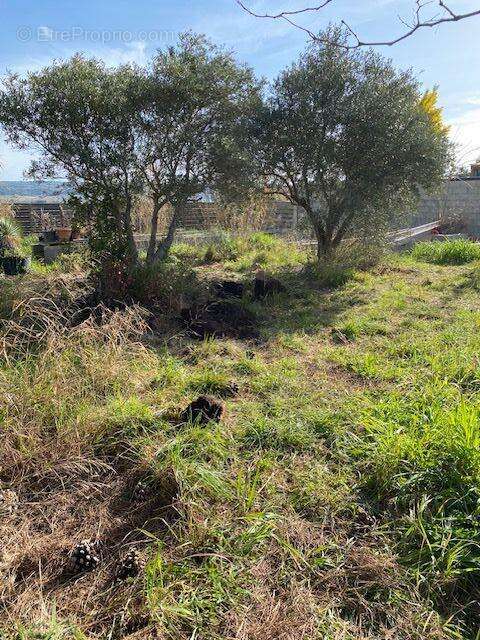 Terrain à LE POUGET