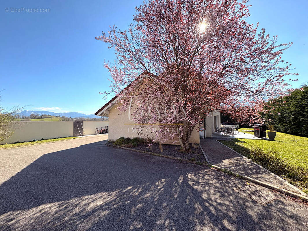 Montagny les lanches, maison familiale - photo 10