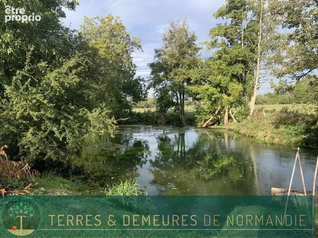 En NORMANDIE, région de SAINT PIERRE SUR DIVES (14170) corps de ferme en pierre en bordure de rivière - photo 16