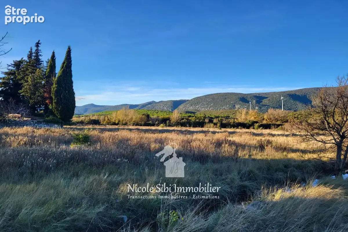 Terrain 38 451 m² à vendre à Caudies-De-Fenouilledes (66220) - photo 4