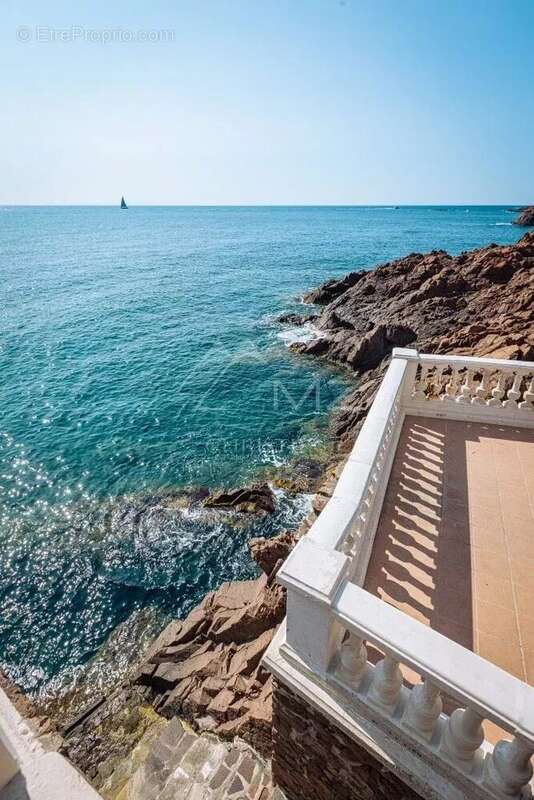 Proche Cannes - Anthéor - Villa Art Déco pieds dans l'eau - photo 3