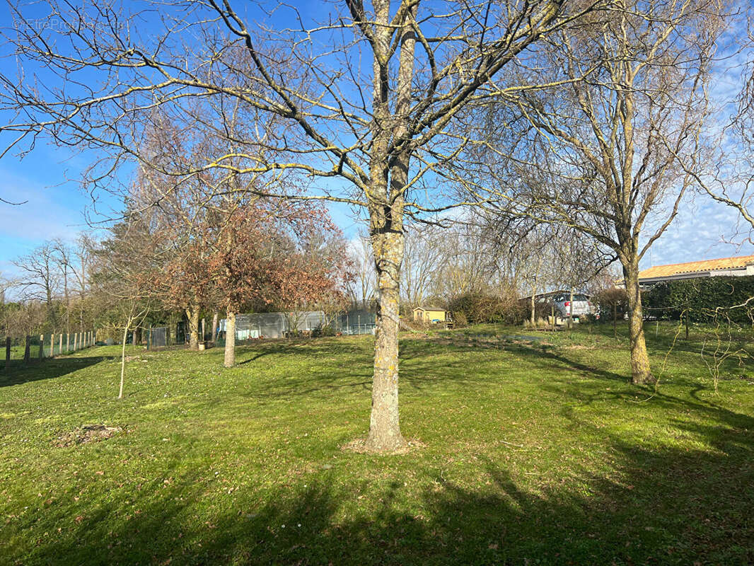 Terrain à LE GUE-DE-VELLUIRE