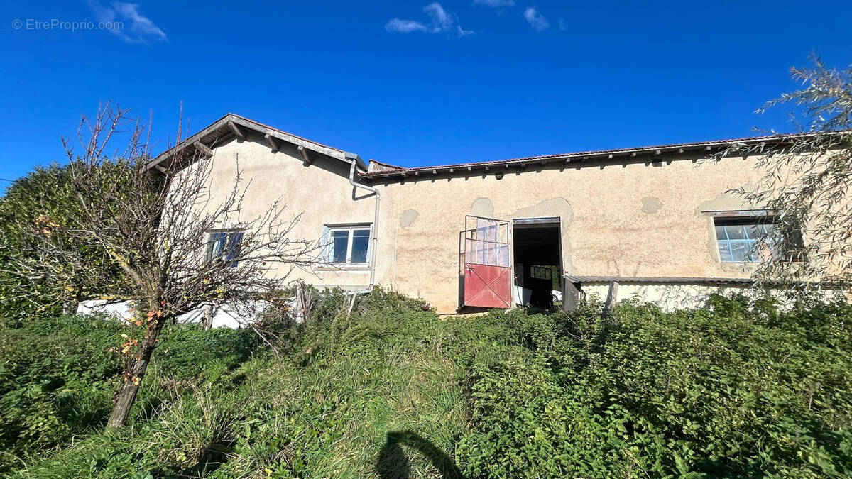 Maison à CHAZELLES-SUR-LYON