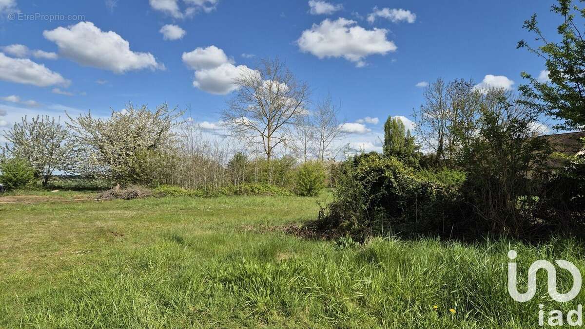 Photo 3 - Terrain à QUITTEBEUF