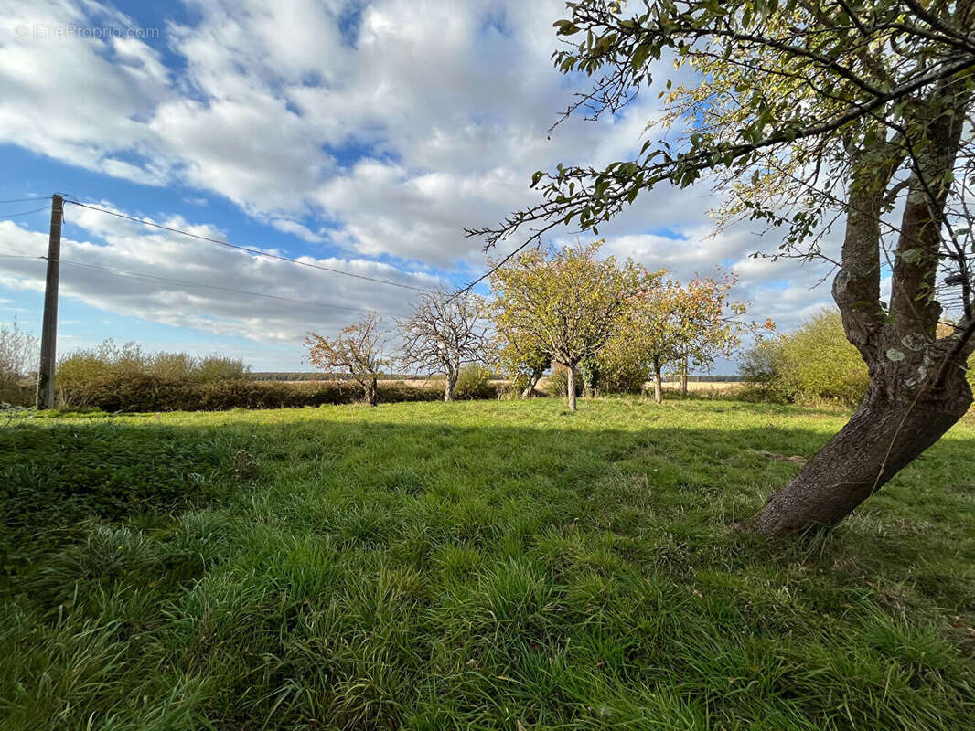 Maison à LES HERMITES