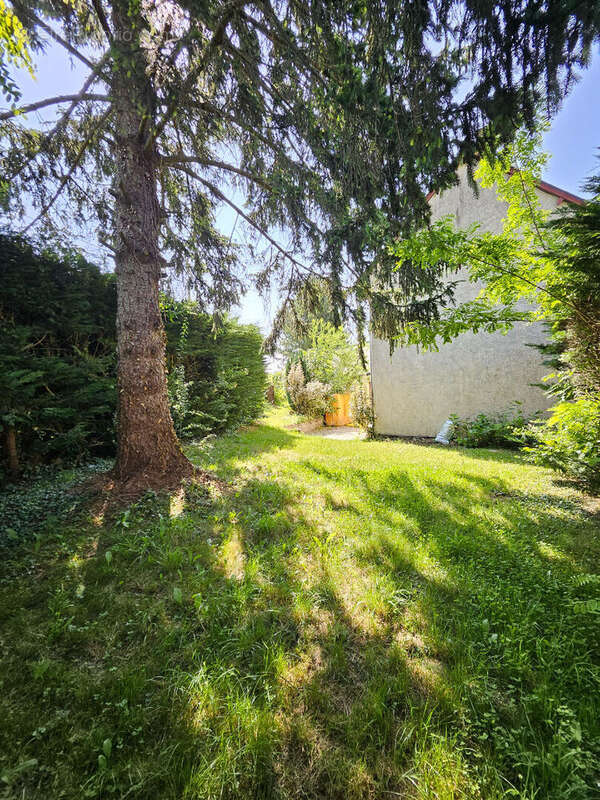 Maison à FLESSELLES