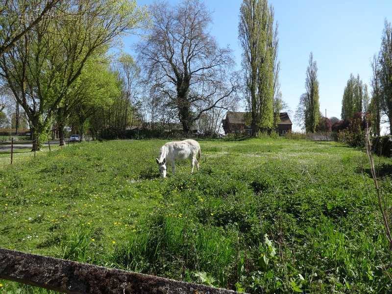 Terrain à GISORS