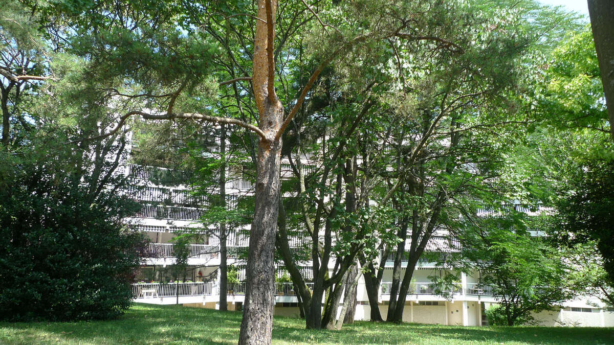 Appartement à ECULLY