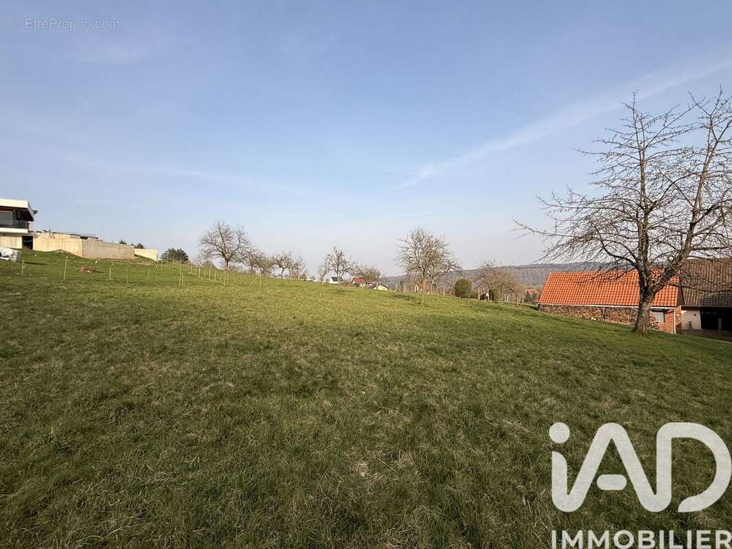 Terrain 726 m² à Reinhardsmunster  - photo 5