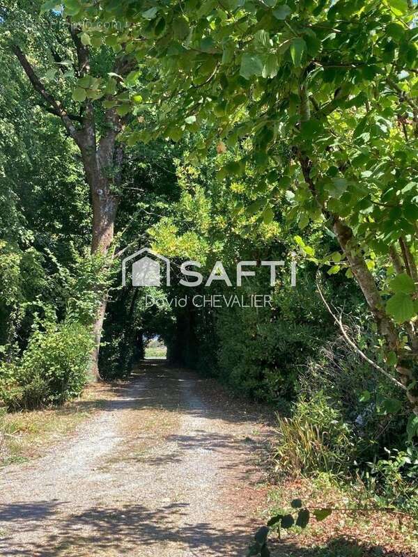 Photo 4 - Maison à SAINT-GERMAIN-DE-LUSIGNAN